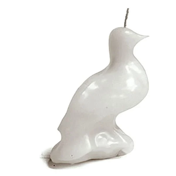 Paloma blanca silvia